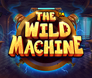 The Wild Machine